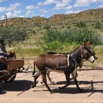 namib_750x400_people_02